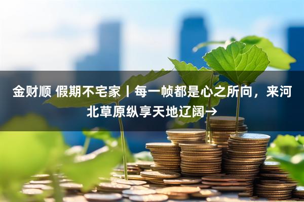 金财顺 假期不宅家丨每一帧都是心之所向,来河北草原纵享天地辽阔→
