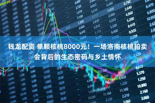 钱龙配资 单颗核桃8000元！一场洛南核桃拍卖会背后的生态密码与乡土情怀