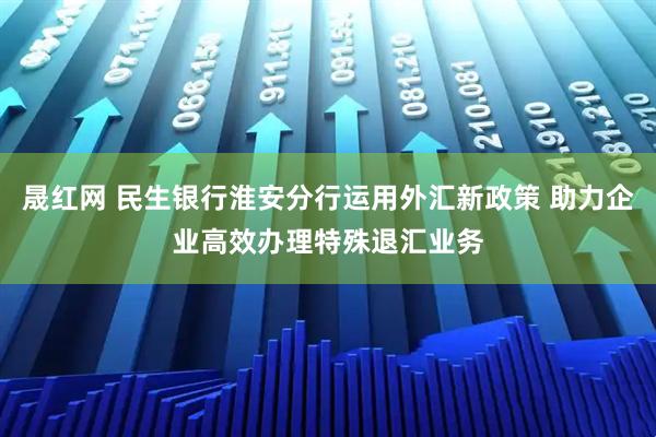 晟红网 民生银行淮安分行运用外汇新政策 助力企业高效办理特殊退汇业务
