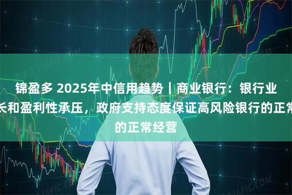 锦盈多 2025年中信用趋势｜商业银行：银行业务增长和盈利性承压，政府支持态度保证高风险银行的正常经营